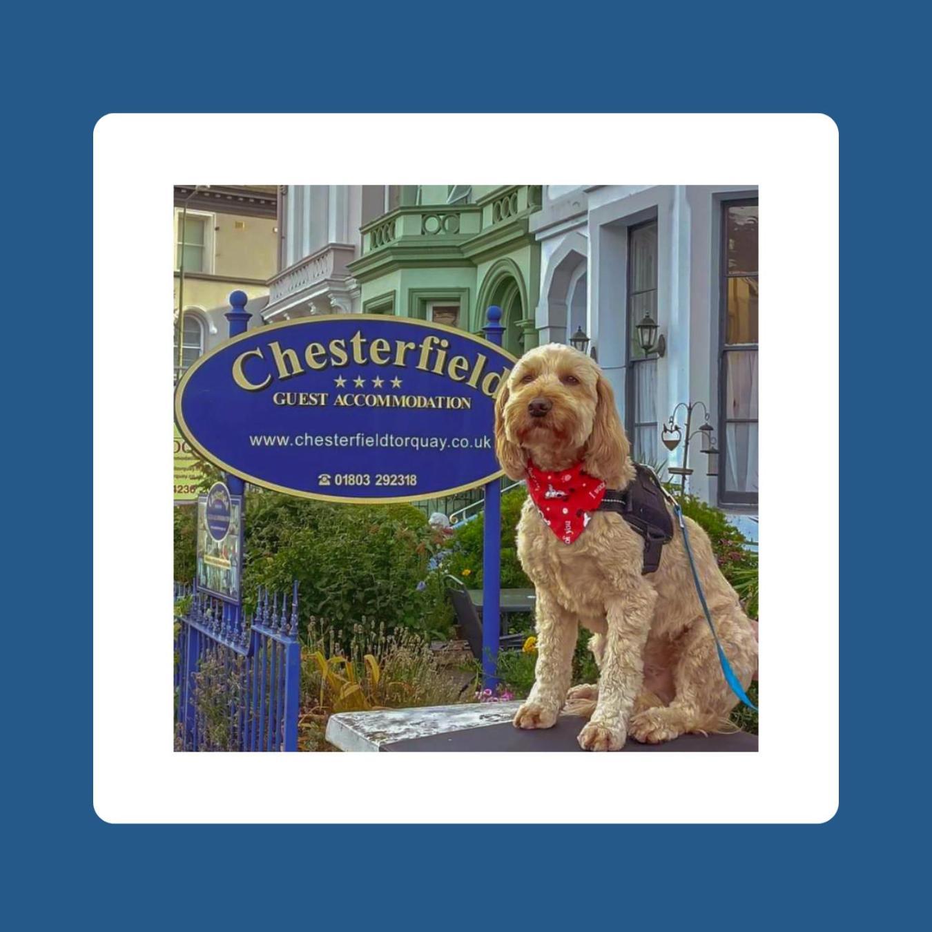 The Chesterfield, Torquay (Adults Only) Kültér fotó